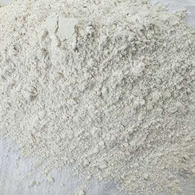 渤海湾高钙优质贝壳粉，蛋鸡蛋鸭专用含钙高质量好550一60